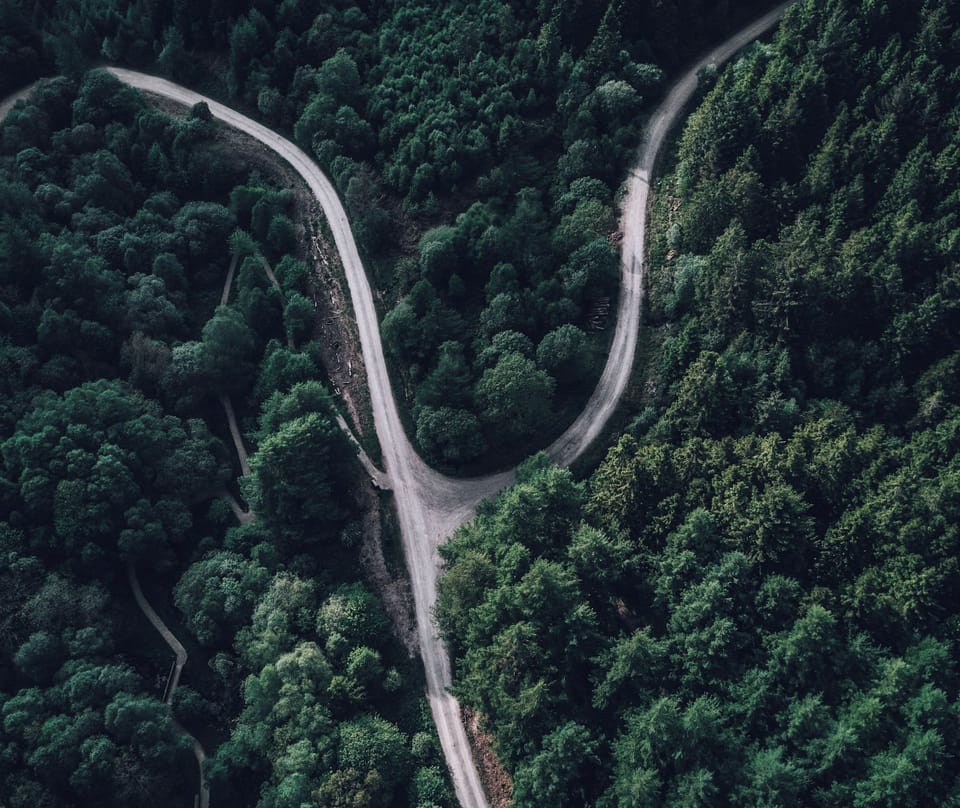 The Introducing Essentialism Series: Part One